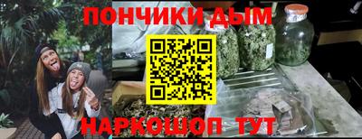 шишки Лесосибирск