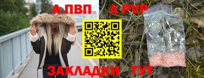 шишки Лесосибирск