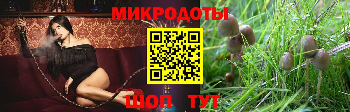 Изобильный  Псилоцибиновые грибы GOLDEN TEACHER  Вход с VPN 