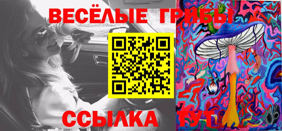 Галлюциногенные грибы прущие грибы Изобильный